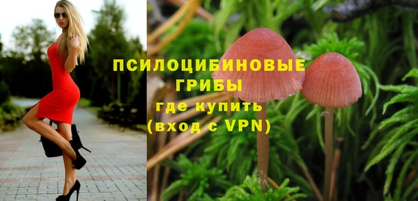 первитин Алексин