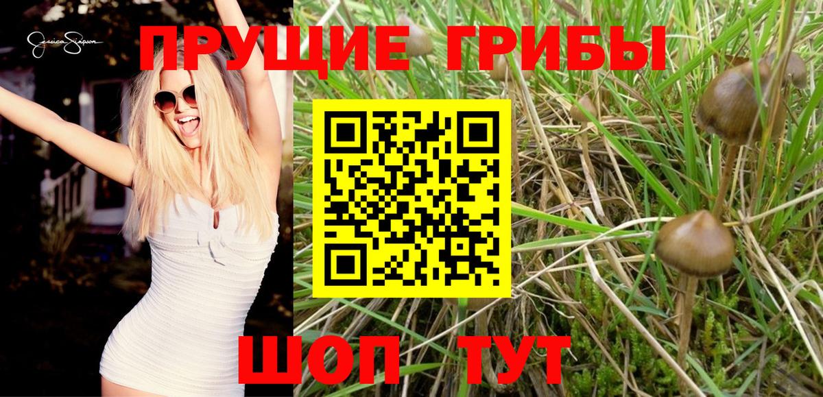 Галлюциногенные грибы Psilocybe  Вход с VPN  Уфа 